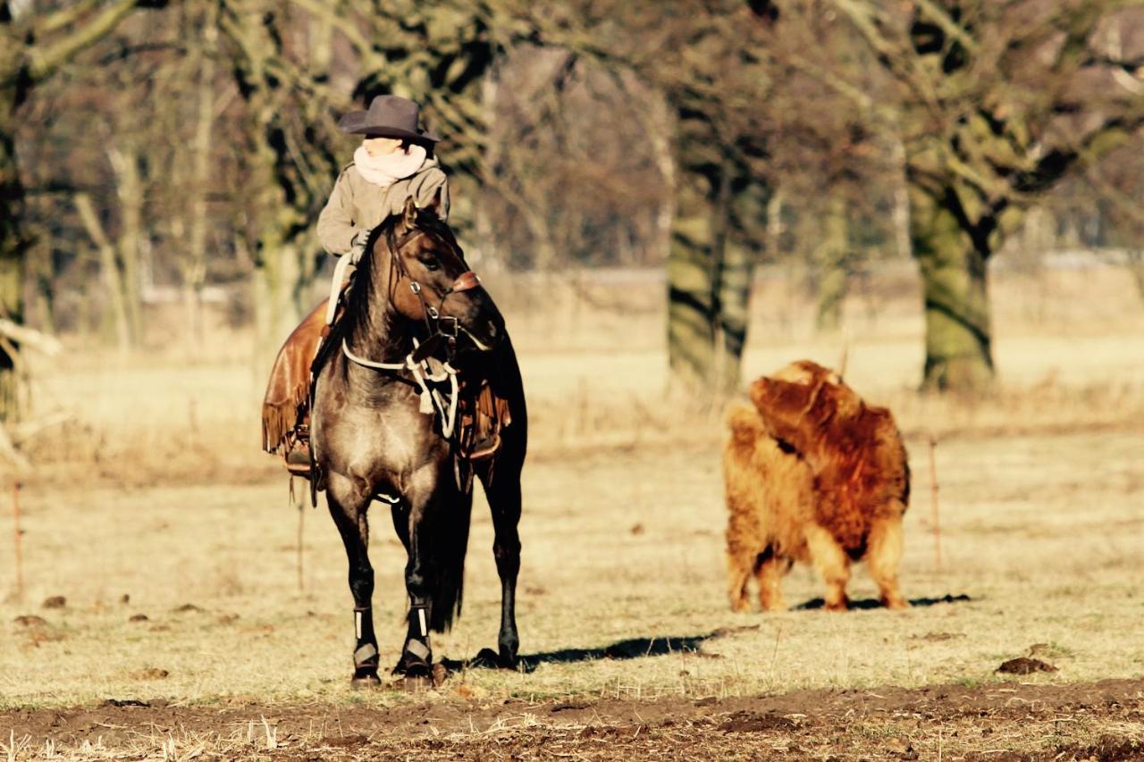 W Diamonds Ranch Leilighet Grossräschen Eksteriør bilde