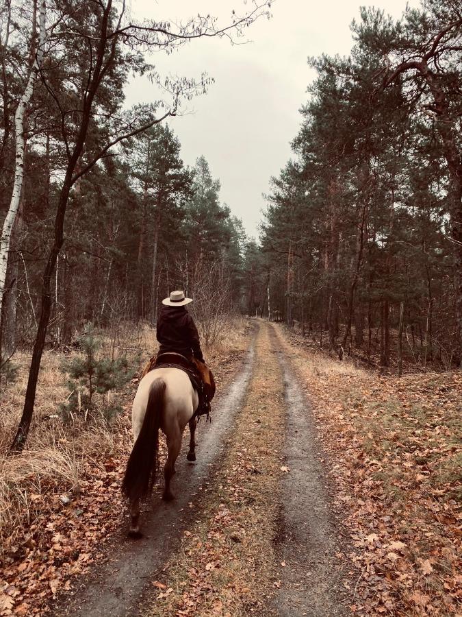 W Diamonds Ranch Leilighet Grossräschen Eksteriør bilde